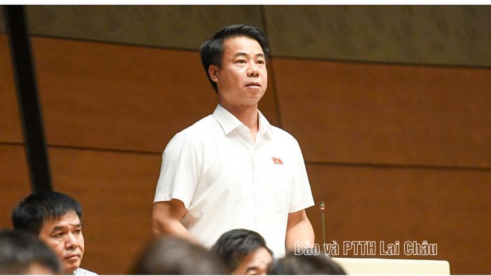 Đại biểu Hoàng Quốc Khánh phát biểu ý kiến tại phiên họp. Ảnh: Yến Nhi