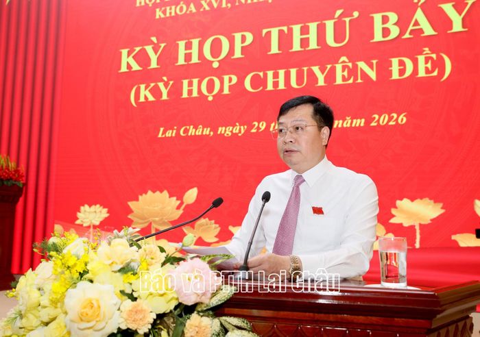 Lãnh đạo Ban Pháp chế HĐND tỉnh báo cáo tổng hợp thẩm tra các dự thảo nghị quyết.