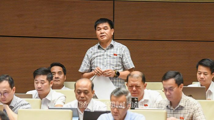 Đại biểu Nguyễn Hữu Toàn phát biểu ý kiến tại phiên họp.