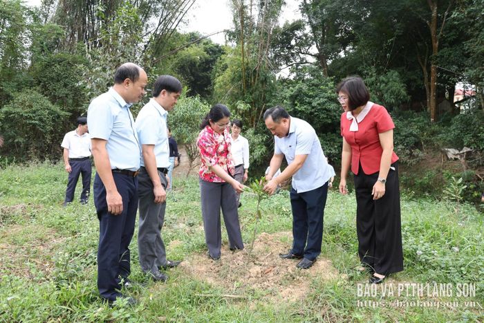 Đoàn công tác kiểm tra thực tế mô hình trồng mắc ca tại phường Kỳ Lừa