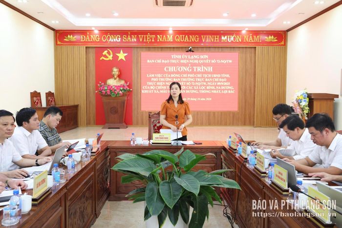 Đồng chí Trần Thanh Nhàn, Phó Chủ tịch UBND tỉnh phát biểu kết luận buổi làm việc