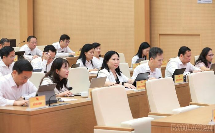 Các đại biểu dự Hội nghị lần thứ 14 (mở rộng).