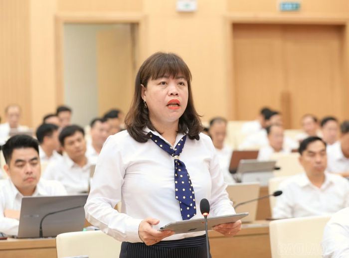 Các đại biểu phát biểu tại Hội nghị Ban Chấp hành Đảng bộ tỉnh lần thứ 14 (mở rộng).