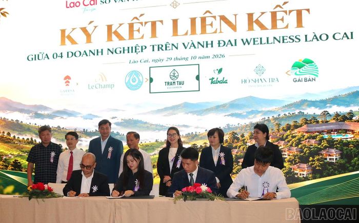 Lễ ký kết hợp tác về du lịch giữa các đơn vị tại Hội thảo kết nối doanh nghiệp.