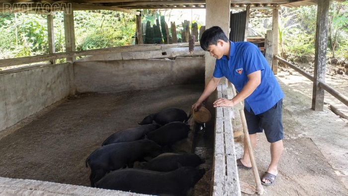 Đoàn viên thanh niên Khao Mang tận dụng lợi thế địa phương và nguồn vốn tín dụng chính sách để phát triển kinh tế.
