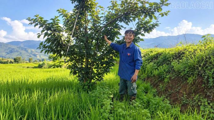Một số giống cây trồng mới được đoàn viên thanh niên địa phương đưa vào trồng thử nghiệm
