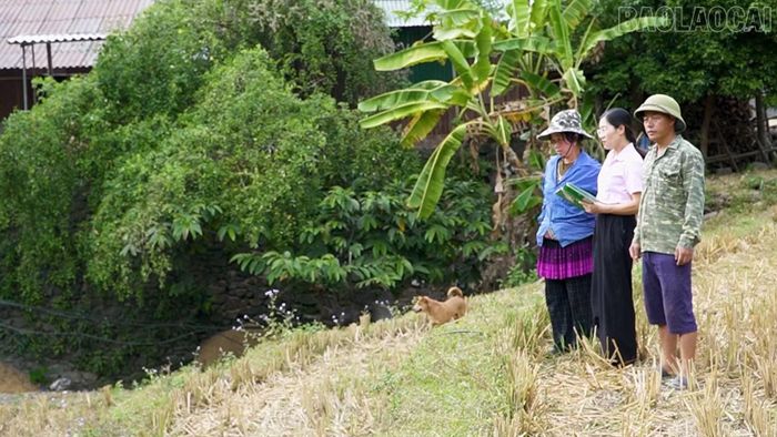 Cán bộ Phòng Giao dịch Ngân hàng Chính sách xã hội Mù Cang Chải kiểm tra việc sử dụng nguồn vốn của đoàn viên thanh niên.