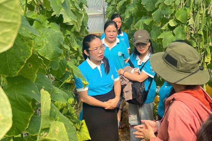 Cán bộ hội phụ nữ cụm thi đua 3 trải nghiệm thực tế tại vườn trồng dưa lưới