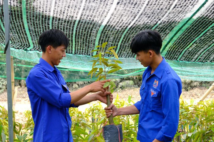 Thành cũng thường xuyên chia sẻ kinh nghiệm với các đoàn viên trong thôn