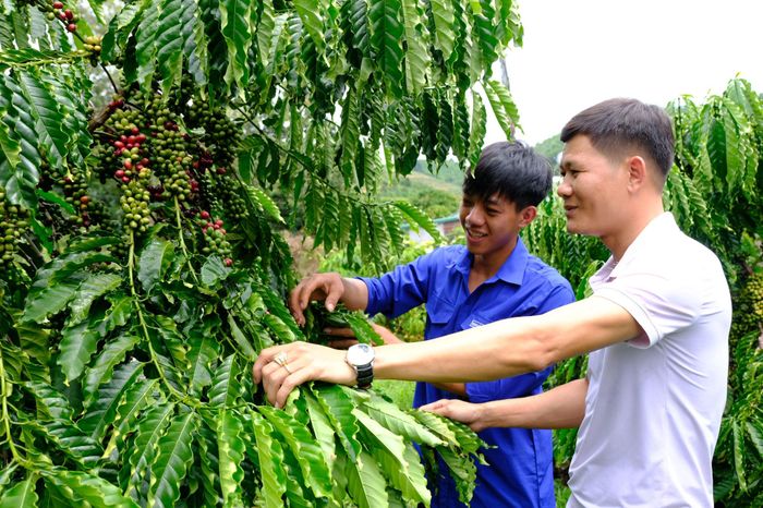 Thành được đánh giá là thanh niên trẻ có tư duy đổi mới trong sản xuất nông nghiệp