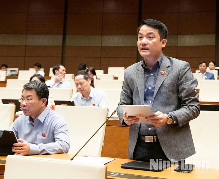 Đại biểu Lê Văn Thế, Tỉnh ủy viên, Phó Trưởng Đoàn ĐBQH chuyên trách tỉnh Ninh Bình phát biểu tranh luận.