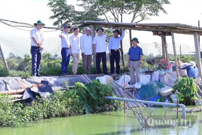 Lãnh đạo xã Nam Cửa Việt khảo sát các mô hình kinh tế triển vọng trên địa bàn - Ảnh: M.H