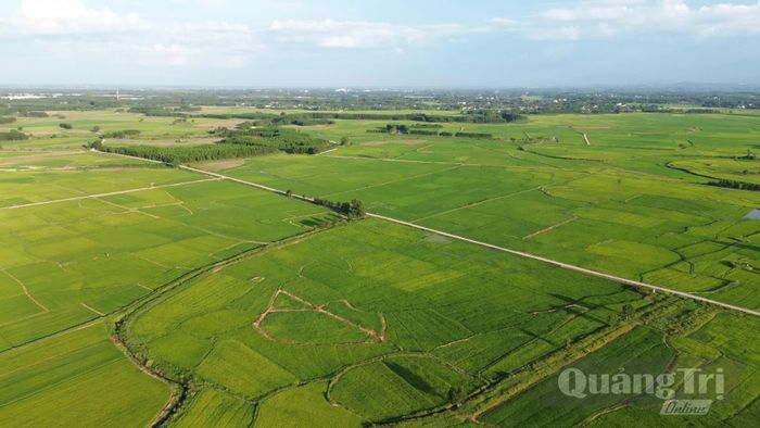 Quảng Trị định hướng phát triển nông nghiệp xanh gắn với khai thác hiệu quả lợi thế từng vùng, nâng cao giá trị sản xuất và thích ứng với biến đổi khí hậu - Ảnh: N.T.L