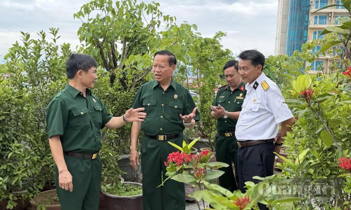 Cựu chiến binh Lê Xuân Tế sử dụng diện tích sân thượng công ty để trồng cây ăn quả, rau màu theo hướng hữu cơ - Ảnh: Nh.V