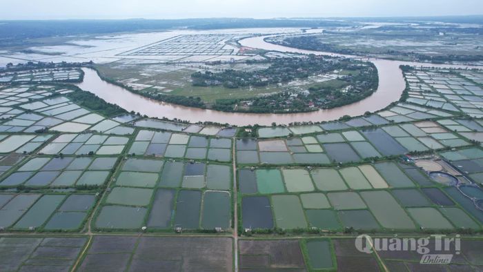 Vùng nuôi tôm của Hợp tác xã Phan Hiền, xã Vĩnh Thủy - Ảnh: N.T.H