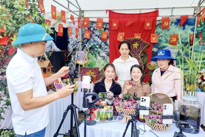 Thành viên HTX Nông nghiệp xanh Hương Mơ livestream giới thiệu, tiêu thụ mận hậu trên nền tảng số.