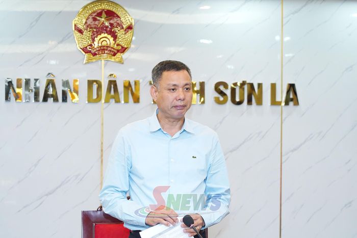 Đồng chí Phó Chủ tịch UBND tỉnh phát biểu tại cuộc làm việc.