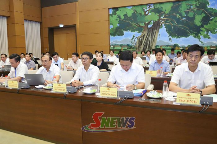 Các đại biểu dự phiên họp.