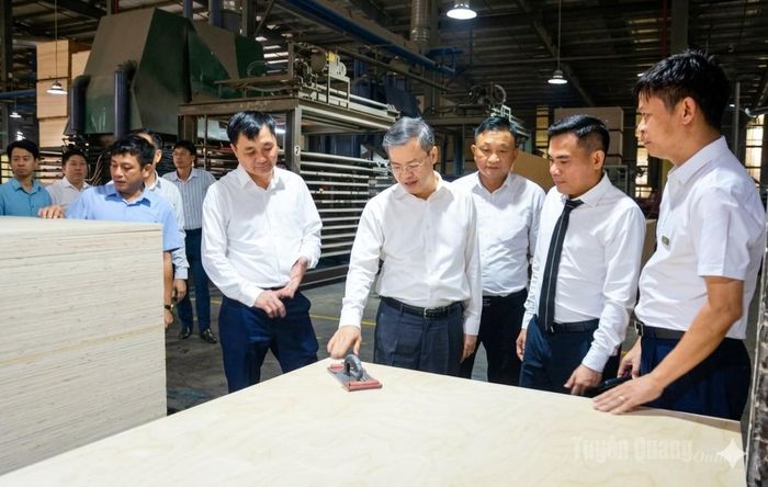 Các đại biểu tham quan khâu hoàn thiện ván sàn của Công ty TNHH Sao Việt.