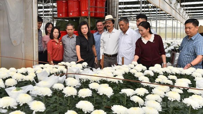 Đoàn tìm hiểu kỹ thuật trồng hoa.