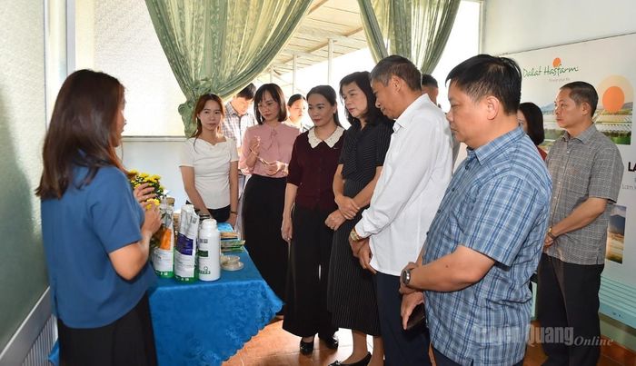 Các thành viên Đoàn công tác tìm hiểu phương pháp dùng thiên địch diệt sâu bệnh của Bio Pro của công ty Hasfarm.