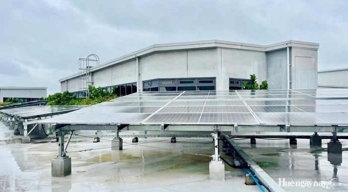 Nhiều doanh nghiệp, hộ gia đình đã lắp đặt điện mặt trời mái nhà.