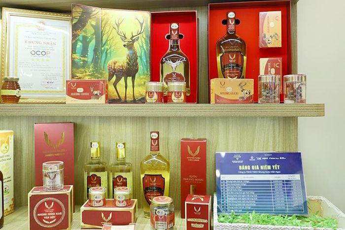 Các sản phẩm như nhung hươu khô thái lát, rượu nhung hươu, bột nhung hươu OCOP 4 sao đã hiện diện rộng rãi trên các sàn thương mại điện tử lớn nhờ hệ thống tem mã hóa thông minh.