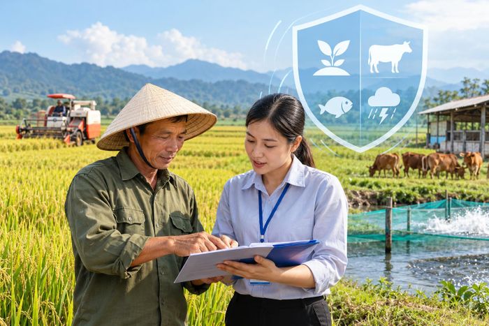 Chính sách mới về bảo hiểm nông nghiệp quy định trách nhiệm của địa phương trong bố trí ngân sách và tổ chức thực hiện hỗ trợ phí bảo hiểm. (Ảnh có sử dụng AI).