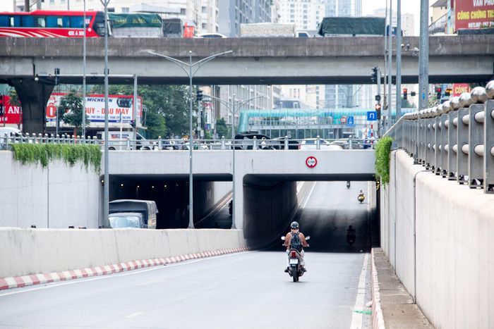 Theo phương án đã công bố, các chậu cây sẽ được bố trí thành từng cụm dọc mép trên thành hầm chui, phía dưới lan can, với chiều dài khoảng 300m. Cây được định hướng phát triển rủ xuống mặt trong thành hầm.