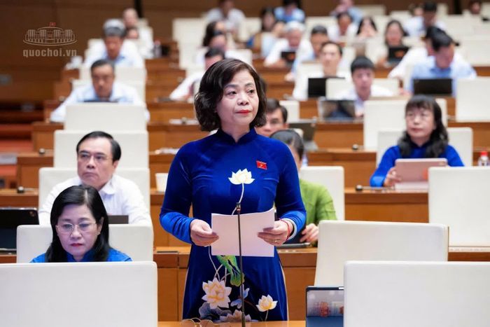 Đại biểu Nguyễn Thanh Cầm (đoàn Đồng Tháp) phát biểu.