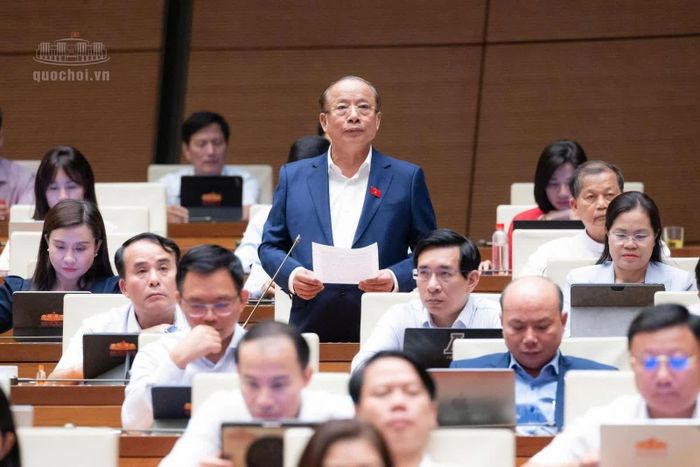 Đại biểu Nguyễn Văn Thân (đoàn TP.HCM) phát biểu.
