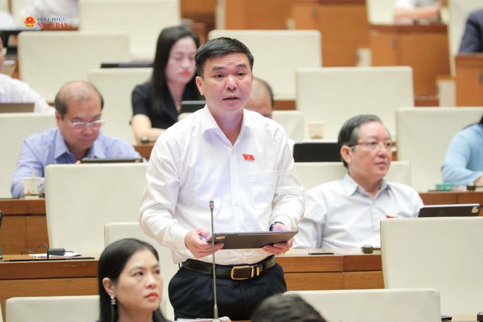 ĐBQH Hà Sỹ Huân (Thái Nguyên) phát biểu. Ảnh: Hồ Long