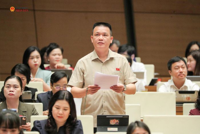ĐBQH Hoàng Ngọc Định (Tuyên Quang) phát biểu. Ảnh: Hồ Long