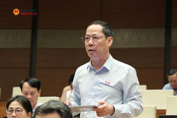 ĐBQH Trần Nhật Minh (Nghệ An) phát biểu. Ảnh: Khánh Duy