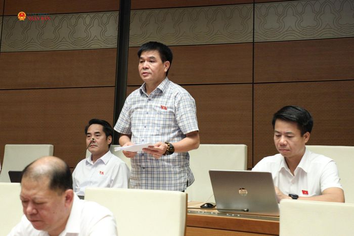 ĐBQH Nguyễn Hữu Toàn (Lai Châu) phát biểu. Ảnh: Khánh Duy
