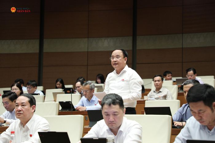 ĐBQH Trần Đức Thuận (Nghệ An) phát biểu. Ảnh: Khánh Duy