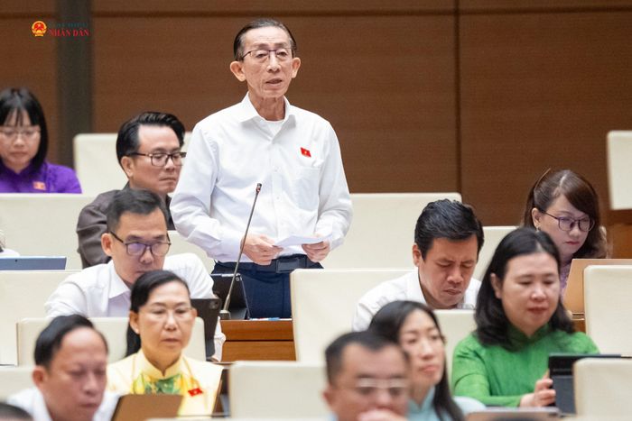 ĐBQH Trần Hoàng Ngân (TP. Hồ Chí Minh) phát biểu thảo luận. Ảnh: Phạm Thắng