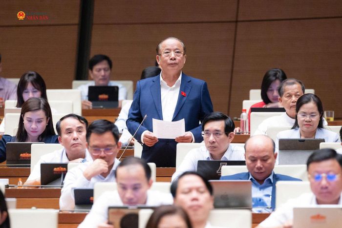 ĐBQH Nguyễn Văn Thân (TP. Hồ Chí Minh) phát biểu. Ảnh: Phạm Thắng