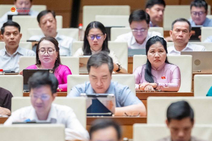 Các đại biểu dự phiên họp. Ảnh: Phạm Thắng
