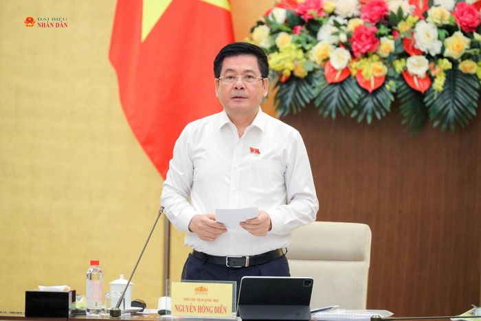 Phó Chủ tịch Quốc hội Nguyễn Hồng Diên phát biểu tại phiên họp