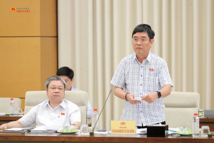 Đại biểu hoạt động chuyên trách tại Ủy ban Kinh tế và Tài chính Hoàng Quang Hàm phát biểu