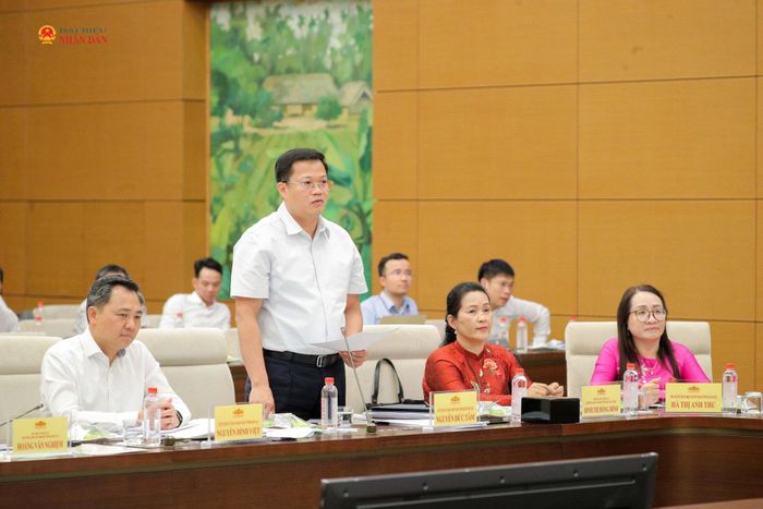 Chủ tịch Ủy ban nhân dân tỉnh Quảng Ngãi Nguyễn Đức Tâm phát biểu