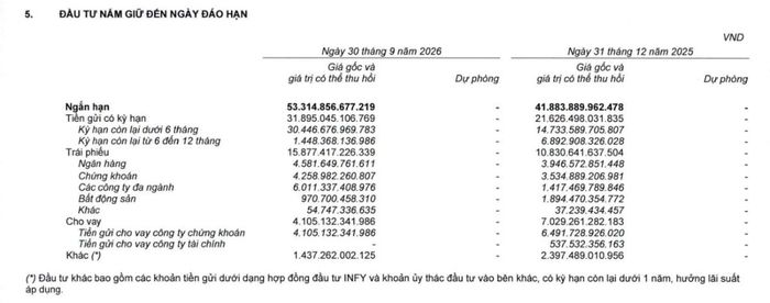 Tiền gửi có kỳ hạn chiếm tỷ trọng lớn trong danh mục đầu tư tài chính ngắn hạn của Thế Giới Di Động.