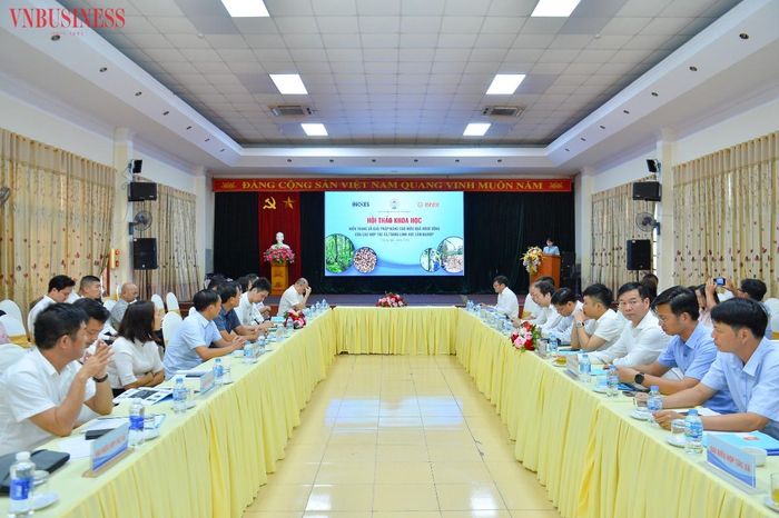 Toàn cảnh Hội thảo.