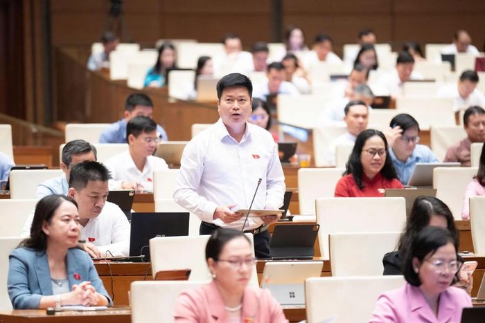 Đại biểu Trương Hồ Hải - Đoàn An Giang. Ảnh: Media Quốc hội