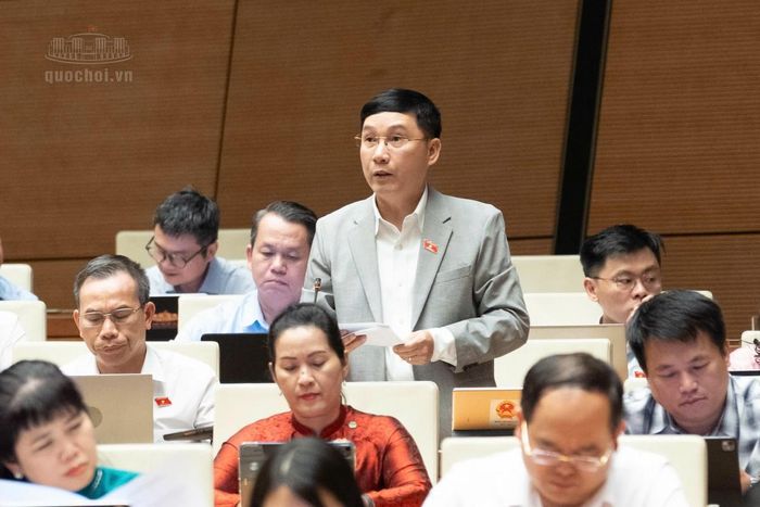 Đại biểu Lê Hoàng Anh - Đoàn Gia Lai. Ảnh: Media Quốc hội