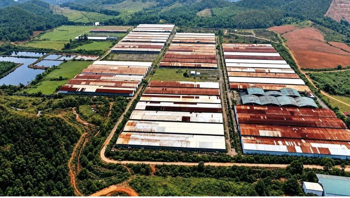 Phiên đấu giá diễn ra chóng vánh với 2 hồ sơ tham gia và với 5 bước giá đã kết thúc buổi đấu giá.