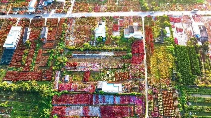Vĩnh Long số hóa và nâng tầm nguồn giống nông nghiệp, hoa kiểng.