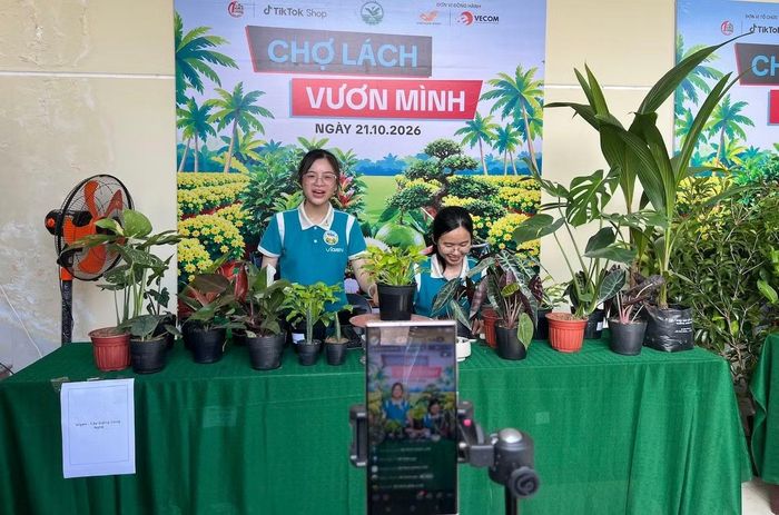 Chợ Lách, vùng sản xuất cây giống, hoa kiểng nổi tiếng ở Đồng bằng sông Cửu Long.