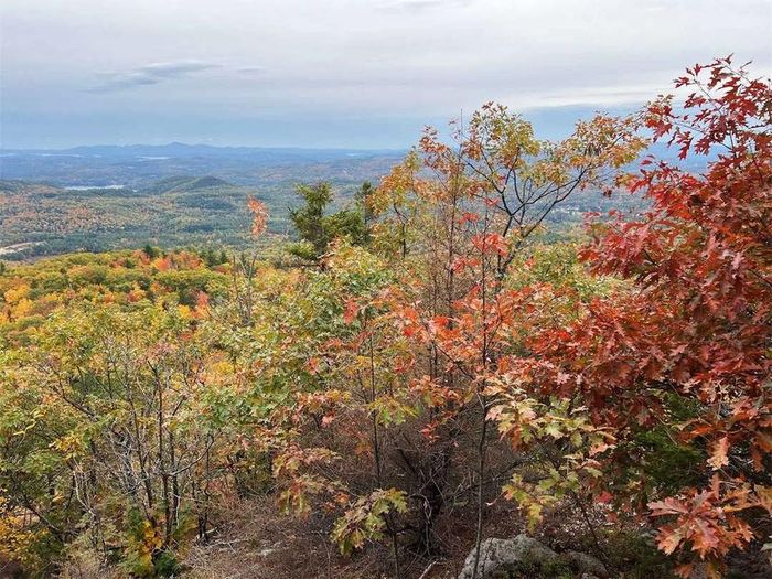 Lá cây mùa thu điểm tô cho khung cảnh rừng cây vùng New England tại Meredith, New Hampshire vào ngày 11/10/2026. Nguồn: NASA